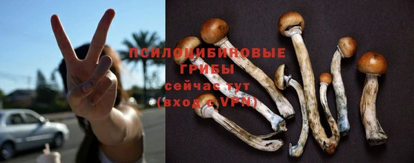 прущая мука Верхний Тагил