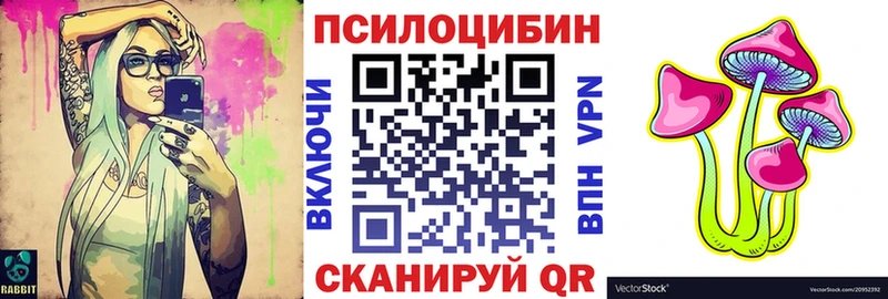 Галлюциногенные грибы Psilocybine cubensis где найти наркотики Торжок
